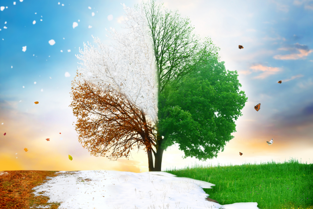 Coping with Seasonal Change