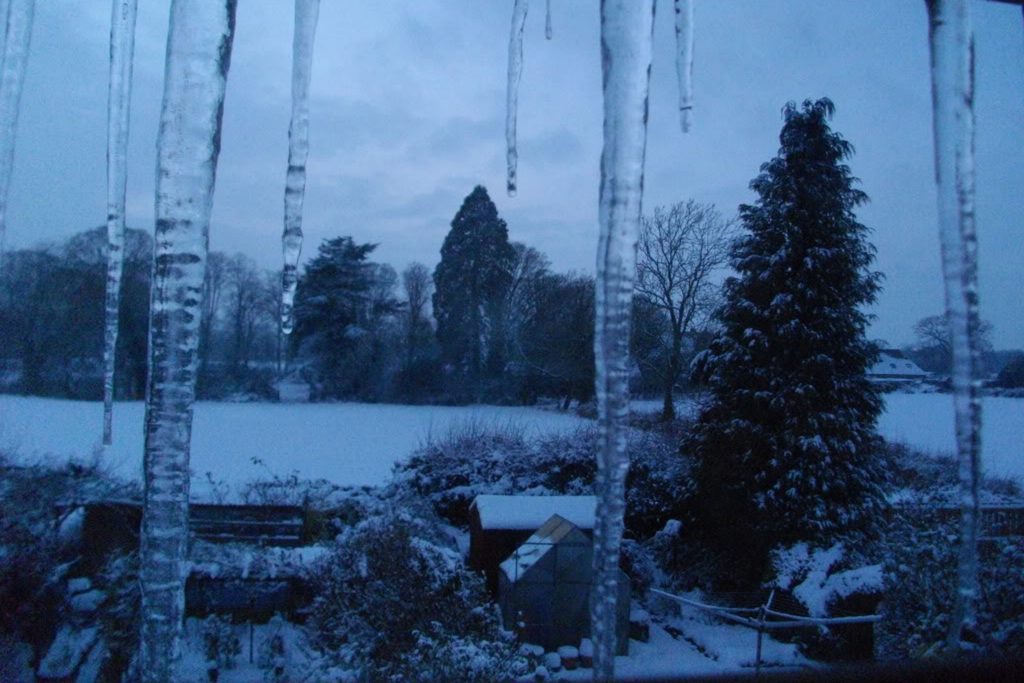 Battling the Winter Blues